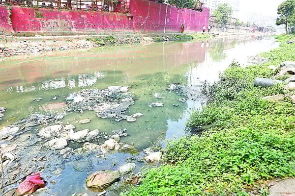 রাজধানীতে লোকদেখানো খাল উদ্ধার মাঝে মাঝে অভিযান চলে। কিছুদিন পর যা ছিল তাই হয়ে যায়। বিশেষজ্ঞদের মতে, হাঁটাপথ নির্মাণের মধ্য দিয়ে বন্ধ হতে পারে অবৈধ খাল দখল