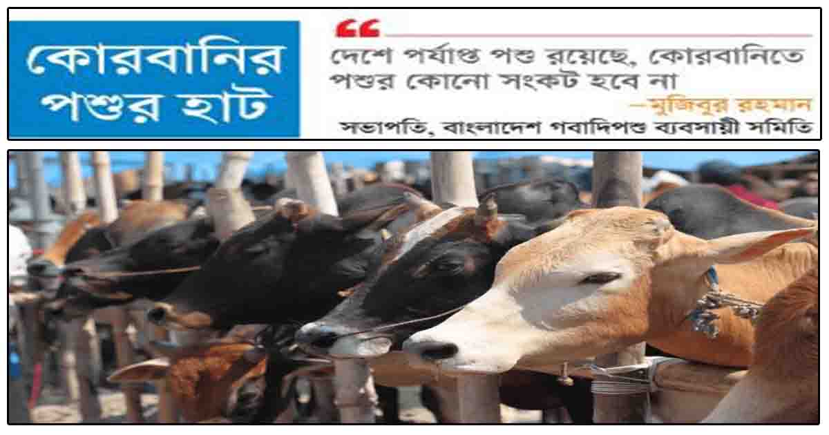 কোরবানির পশুর হাট জমে উঠলেও বেচাকেনা কম