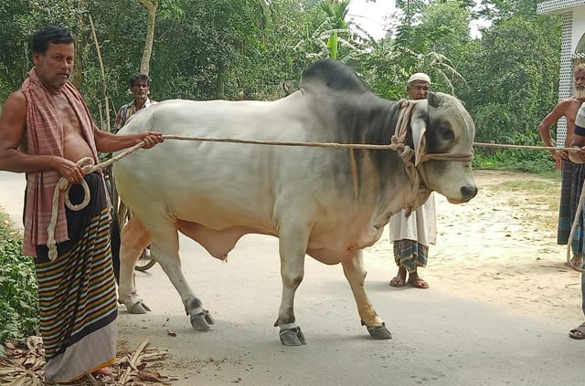 প্রধানমন্ত্রীর প্রতি কৃষক দম্পতির অকৃত্রিম ভালোবাসা