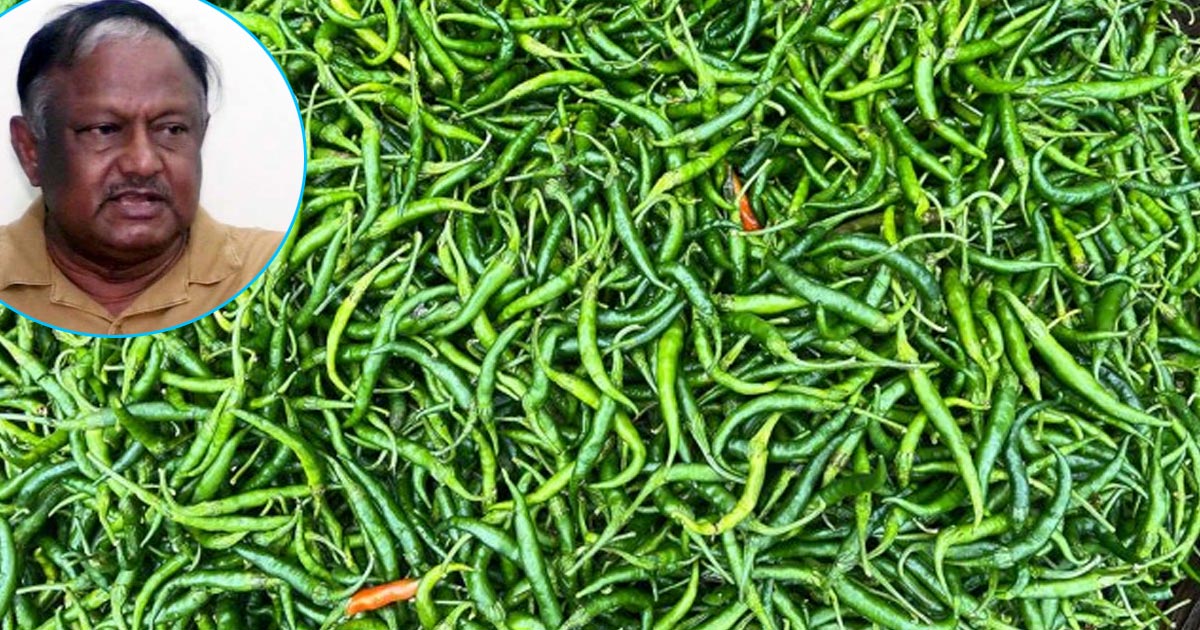 ‘কাঁচা মরিচের দাম বাড়িয়েছেন সুযোগ সন্ধানী ব্যবসায়ীরা’