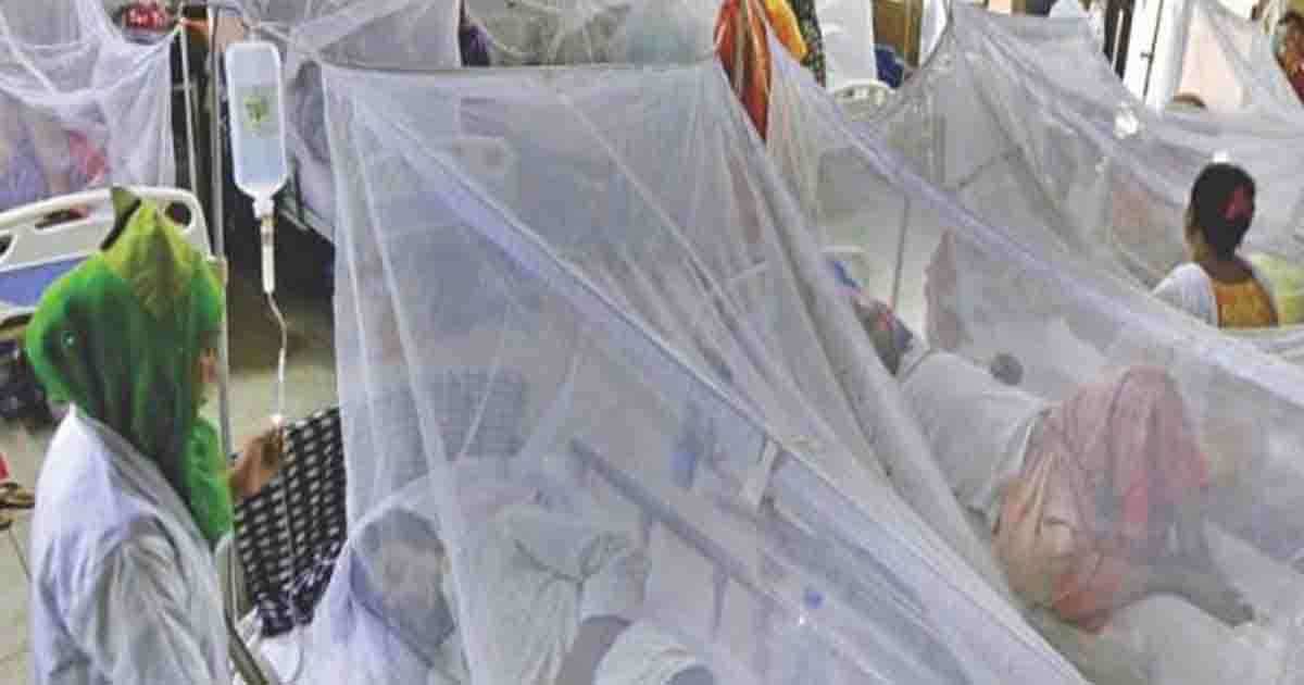 ডেঙ্গুতে ৮ মৃত্যু, হাসপাতালে ২৭৩১ রোগী