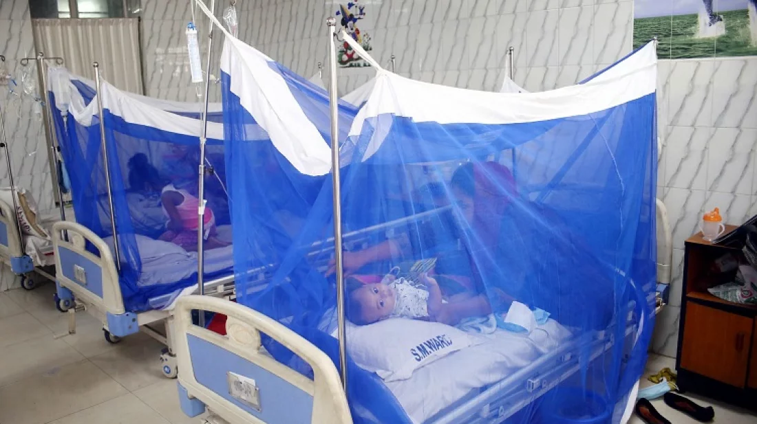 ডেঙ্গুতে ১১ জনের মৃত্যু, হাসপাতালে ভর্তি ২২৪২