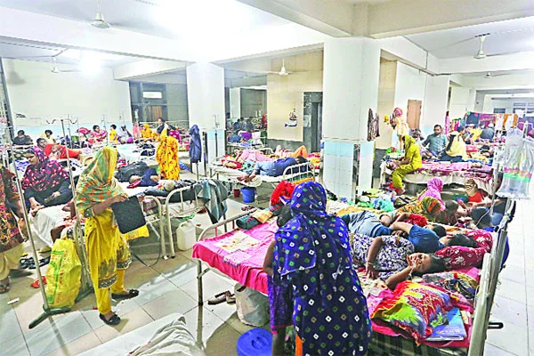 ডেঙ্গু রোগী মিলছে ৬৪ জেলাতেই আক্রান্ত ৬৯ হাজার, মৃত্যু ৩২৭ জন