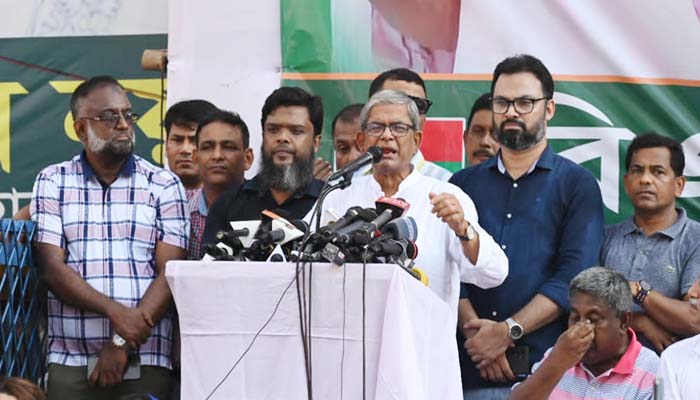 খালেদা জিয়ার কিছু হলে দায় সরকারের : মির্জা ফখরুল