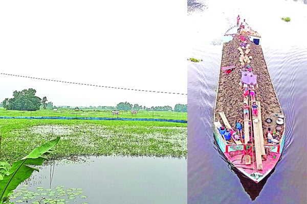 দখলদারদের কবলে আড়িয়াল বিল প্রলুব্ধ করে কিনছে কৃষিজমি ঘরবাড়ি, হাউজিংয়ের নামে মাটি ভরাট, ধ্বংস হচ্ছে জীববৈচিত্র্য