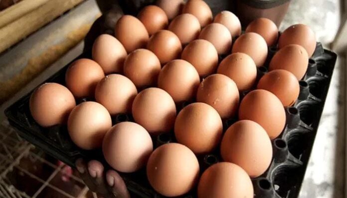 ডিমের দামে রেকর্ড, ডজন ১৭০ টাকা