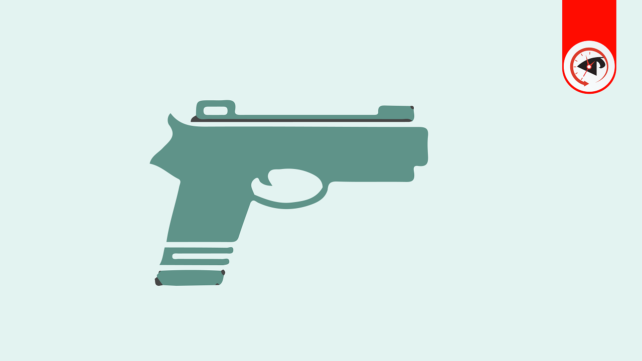 দেশে রাজনীতিকদের হাতে ১০ হাজার অস্ত্র