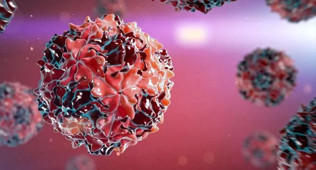 এবার আসছে ডিজিজ এক্স! করোনার চেয়ে ৭ গুণ বেশি প্রাণঘাতী