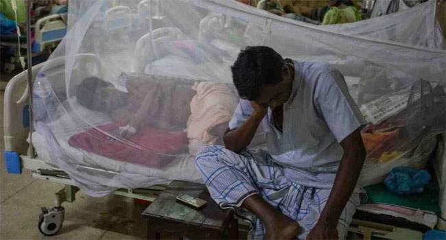 ডেঙ্গুতে আরো ১৭ মৃত্যু, হাসপাতালে ভর্তি ৩০৮৪