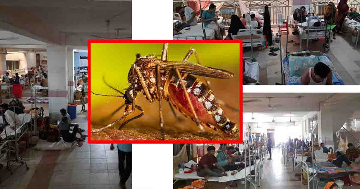 ডেঙ্গুতে ২১ মৃত্যু, হাসপাতালে ৩০১৫ রোগী