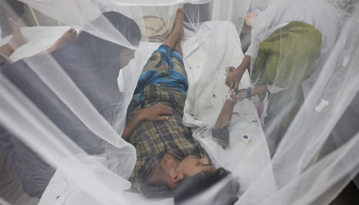 ডব্লিউএইচও ইতিহাসের সবচেয়ে ভয়াবহ ডেঙ্গু সংক্রমণ বাংলাদেশে