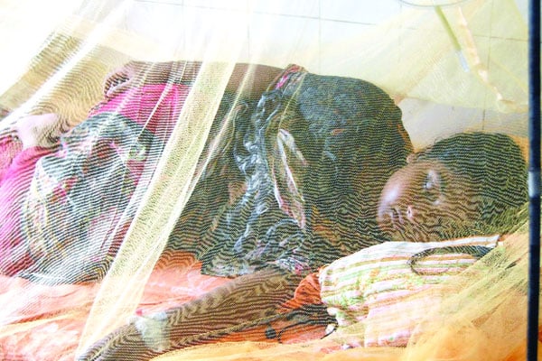 ঢাকার বাইরে বাড়ছেই মৃত্যু ► ডেঙ্গুতে চট্টগ্রাম বরিশাল ফরিদপুরে আক্রান্ত ও মৃত্যু বেশি ► অপ্রয়োজনে কাউকে ঢাকায় স্থানান্তর না করার নির্দেশ