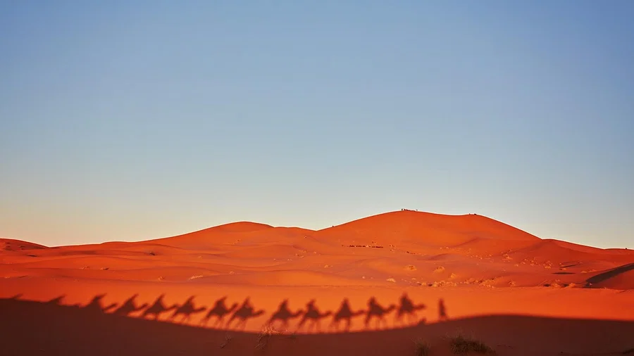 এক রাতেই তিনি প্রায় ৭০ কোটি টাকা দান করেন