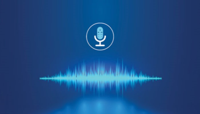 ভয়েস প্রযুক্তির নেতৃত্বে বাংলাদেশ!