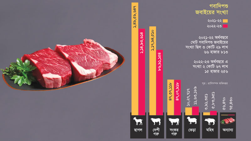 এক বছরে গরু-ছাগল জবাই কমেছে ৬৬ লাখ  উচ্চমূল্যের কারণে দেশে মাংস খাওয়া কমেছে
