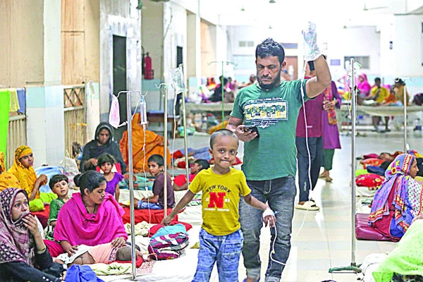 ডেঙ্গুতে এ বছর কেন বেশি মৃত্যু