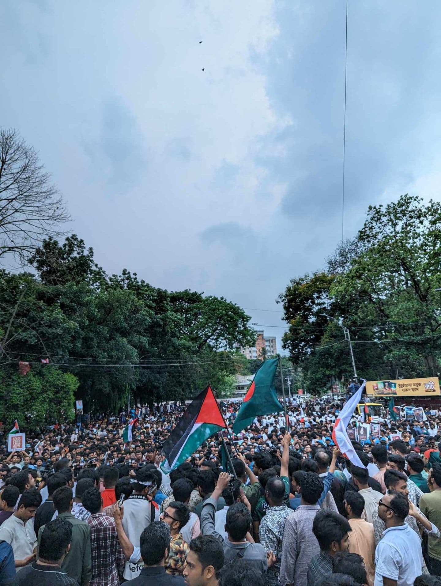 ফিলিস্তিনের পক্ষে দেশের ইতিহাসে সবচেয়ে বড় বিক্ষোভ মিছিল