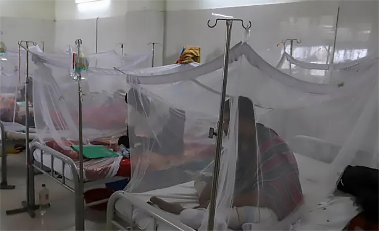 ডেঙ্গুতে একদিনে সর্বোচ্চ ১৩১২ রোগী হাসপাতালে ভর্তি, আরও ৬ প্রাণহানি