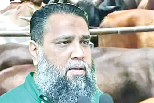 জালিয়াতি করে ১৩৩ কোটি টাকা আয় ইমরানের