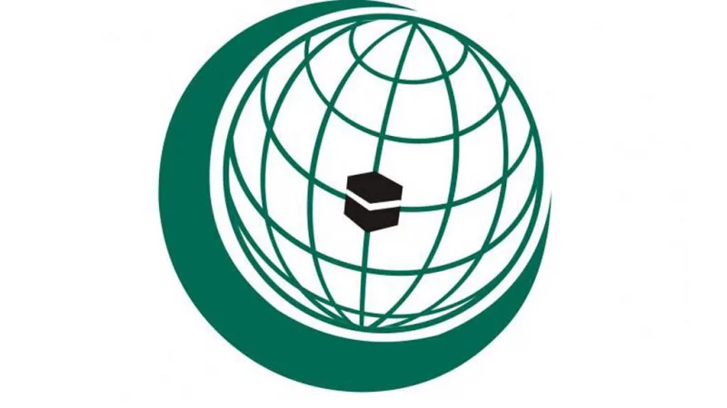 OIC countries assure of helping expatriate Bangladeshis to vote