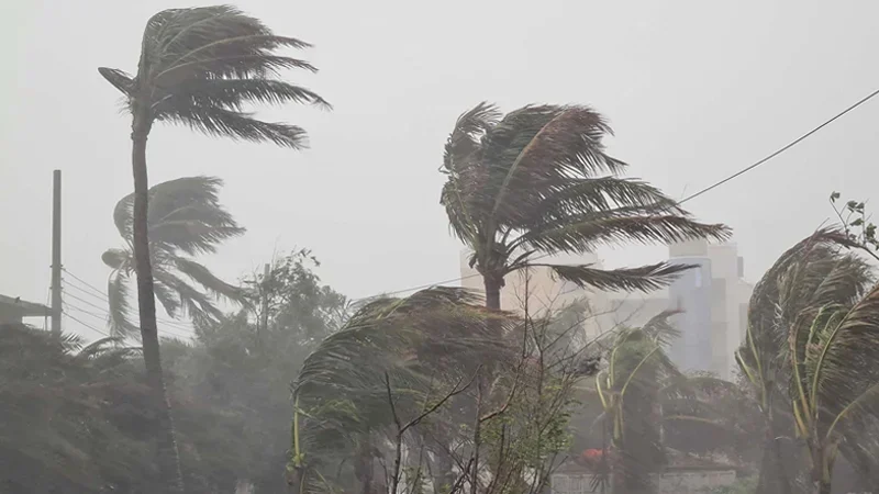 সন্ধ্যার মধ্যে ১১ জেলায় ঝোড়ো হাওয়াসহ বৃষ্টির সম্ভাবনা