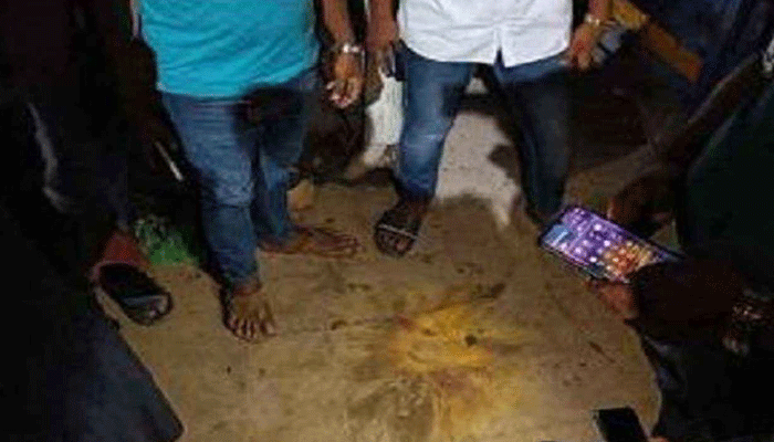 যাত্রাবাড়ীর শহীদ জিয়া পার্কে ককটেল বিস্ফোরণ, আহত ৫