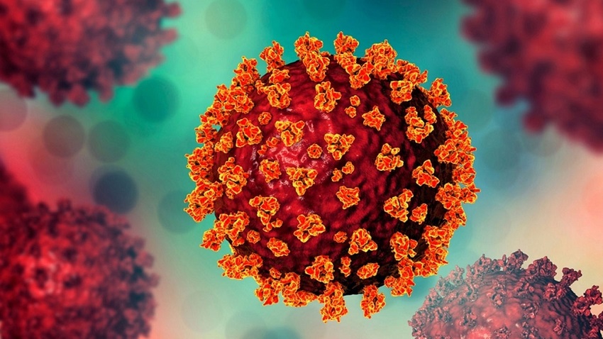 15 new COVID-19 cases detected in 24 hrs, no deaths reported