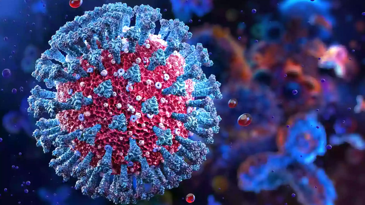 করোনায় আরো ২ জনের মৃত্যু এখন পর্যন্ত দেশে করোনাভাইরাসে মোট মৃত্যু হয়েছে ২৯ হাজার ৫১০ জনের।