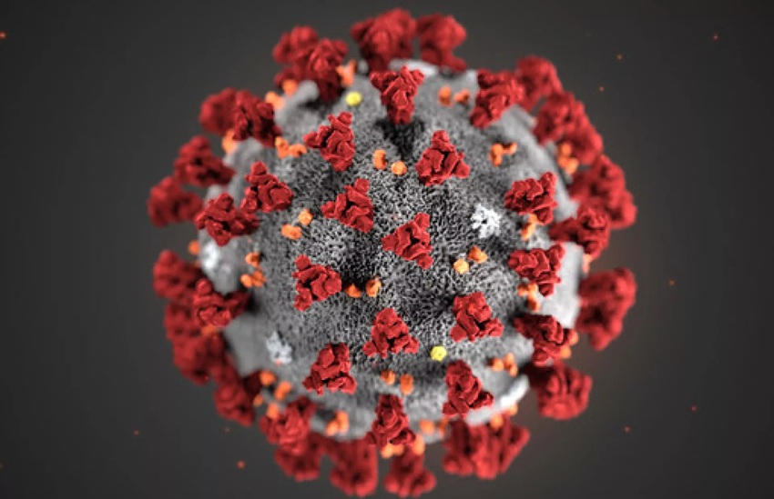 Highest daily COVID death toll in 3yrs: 5 die, 36 new cases reported