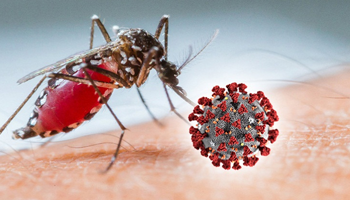 স্বাস্থ্য অধিদপ্তরের প্রতিবেদন জুনে করোনায় ২২ এবং ডেঙ্গুতে ১৯ জনের মৃত্যু