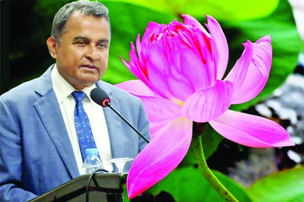 দুর্নীতির পদ্ম-৪ দুর্নীতিতে অলরাউন্ডার কামাল