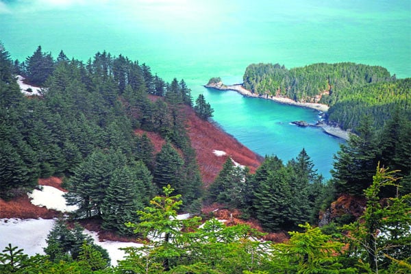 যেভাবে বিক্রি হয় আলাস্কা