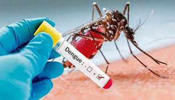 ডেঙ্গুতে আরও ৫ জনের মৃত্যু, হাসপাতালে ভর্তি ৮৪১