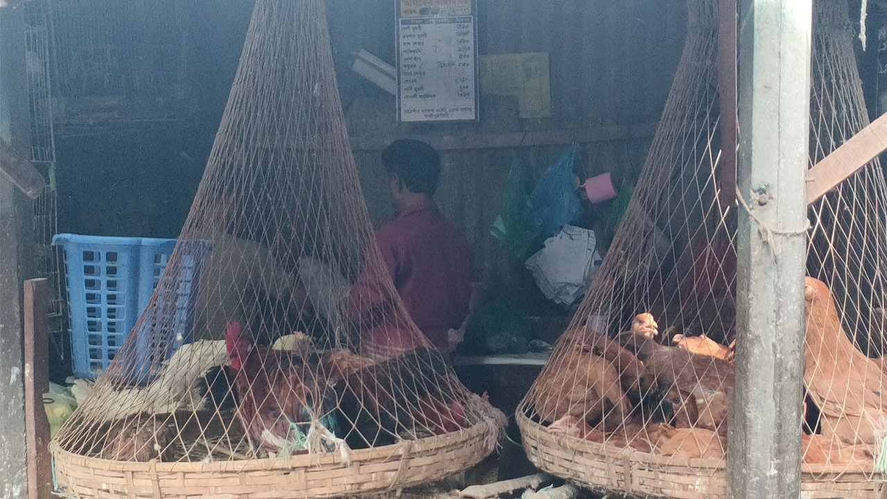 মুরগির দাম কিছুটা কমেছে, গরু-খাসির মাংসের দাম অপরিবর্তিত