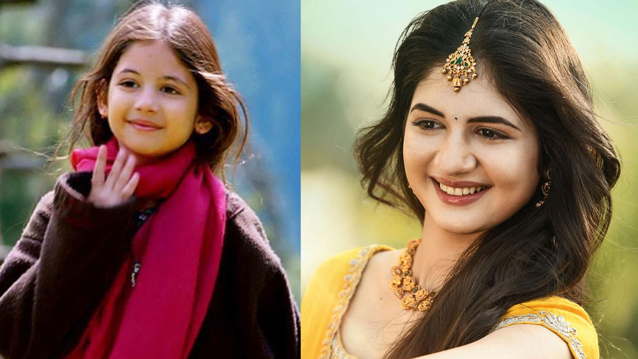 বজরঙ্গি ভাইজানের মুন্নি হর্ষালি মালহোত্রা দক্ষিণ ভারতীয় সিনেমায় ফেরার পথে