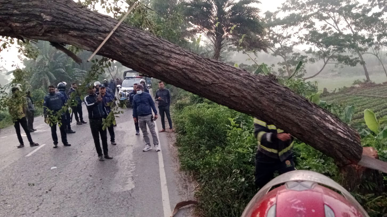 ঢাকা-বরিশাল মহাসড়কে মাদারীপুর অংশে গাছ ফেলে যানবাহন চলাচল বিঘ্নিত