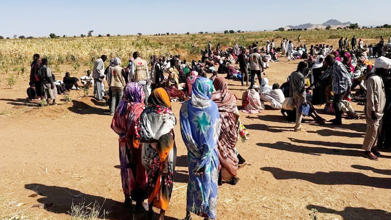 দারফুরে আরএসএফের নৃশংসতা: নারী ধর্ষণ ও গণহত্যার ভয়াবহ বর্ণনা