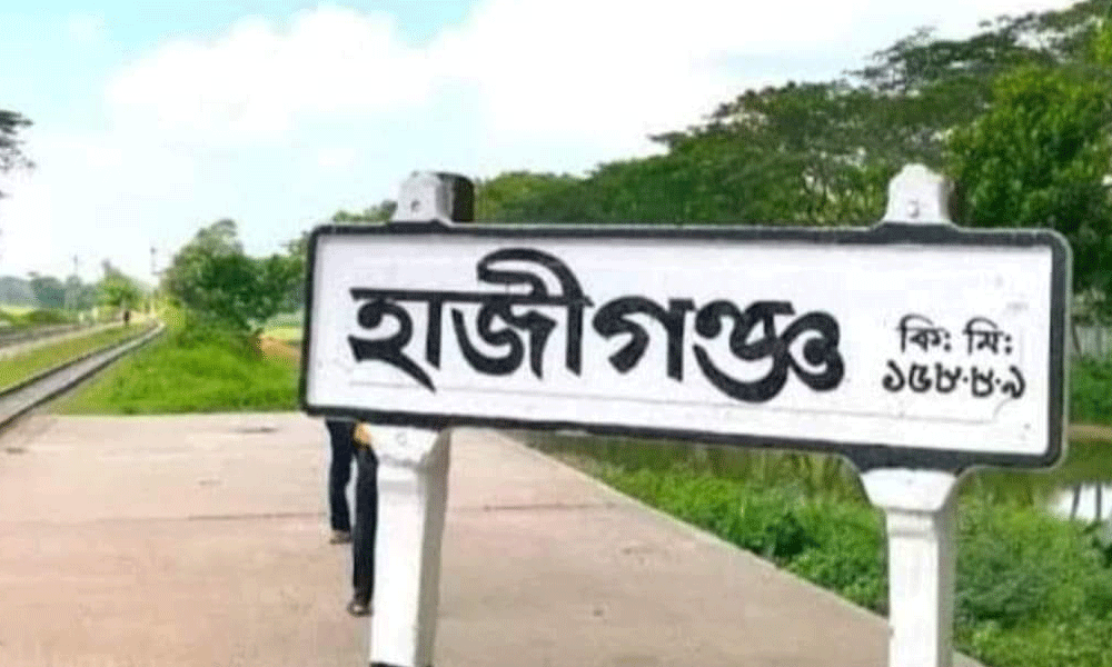 দুই প্রজন্মের মৃত্যুতে শোকের ছায়া নেমে দোয়ালিয়া গ্রামে